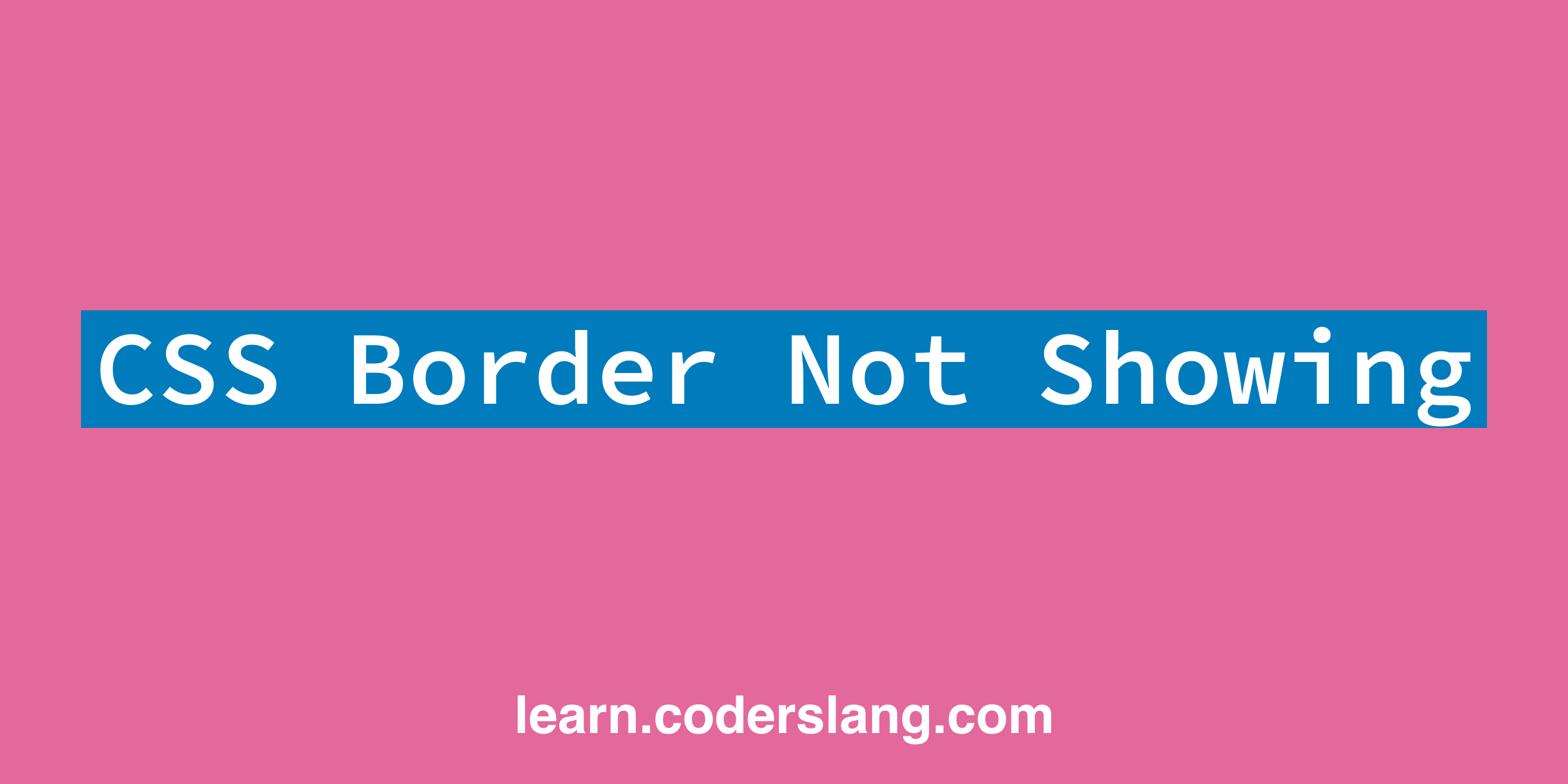 css-border-not-showing